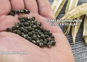 Bamya Tohumunun Cilde Faydaları
