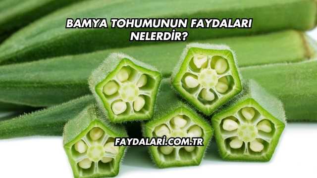 Bamya Tohumunun Faydaları Nelerdir?