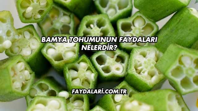 Bamya Tohumunun Faydaları Nelerdir?