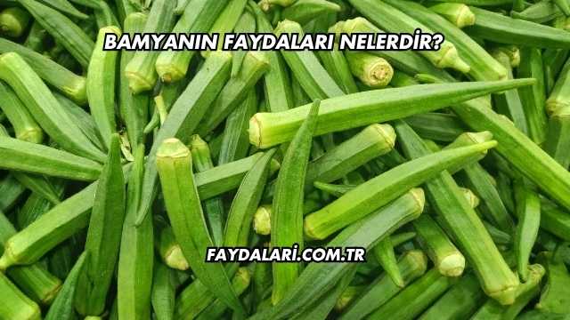 Bamyanın Faydaları Nelerdir?