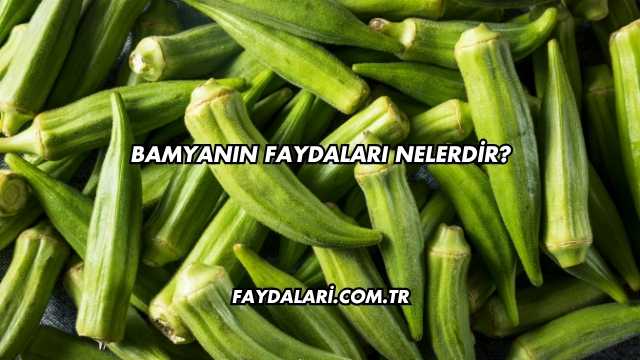 Bamyanın Faydaları Nelerdir?