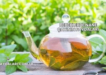 Bebeklerde Nane Çayının Faydaları