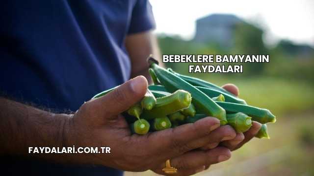 Bebeklere Bamyanın Faydaları