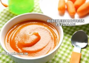 Bebeklere Havucun Faydaları