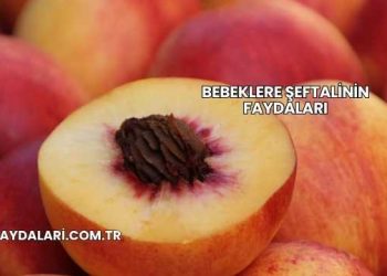 Bebeklere Şeftalinin Faydaları