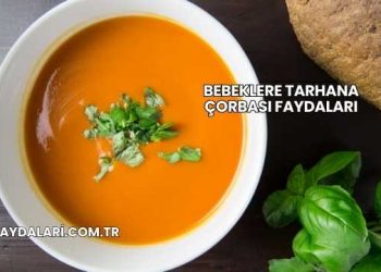 Bebeklere Tarhana Çorbası Faydaları