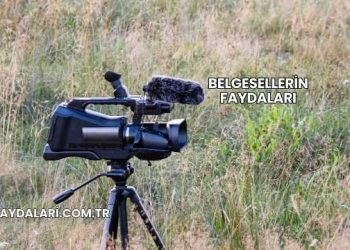 Belgesellerin Faydaları