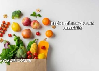 Besinlerin Faydaları Nelerdir?