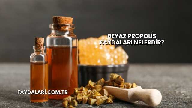 Beyaz Propolis Faydaları Nelerdir?