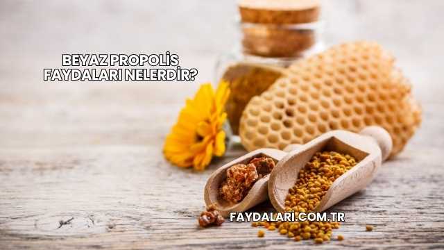 Beyaz Propolis Faydaları Nelerdir?