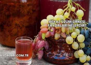 Beyaz Üzüm Sirkesi Faydaları Nelerdir?