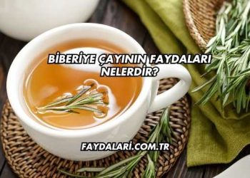 Biberiye Çayının Faydaları Nelerdir?