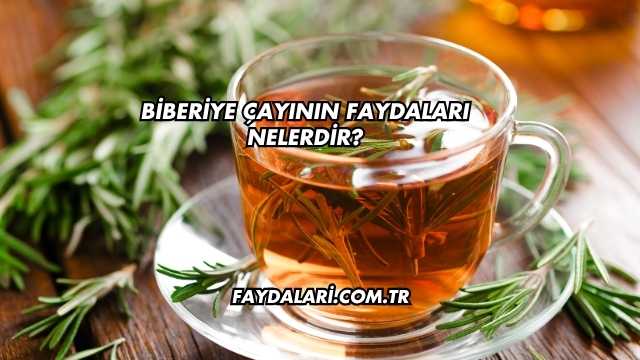 Biberiye Çayının Faydaları Nelerdir?