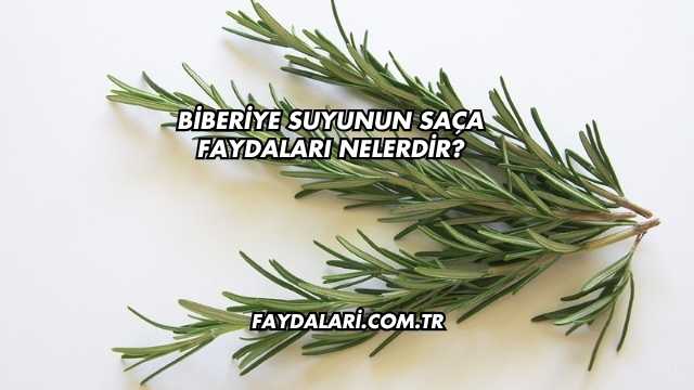 Biberiye Suyunun Saça Faydaları Nelerdir?