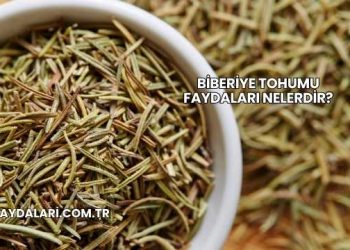 Biberiye Tohumu Faydaları Nelerdir?