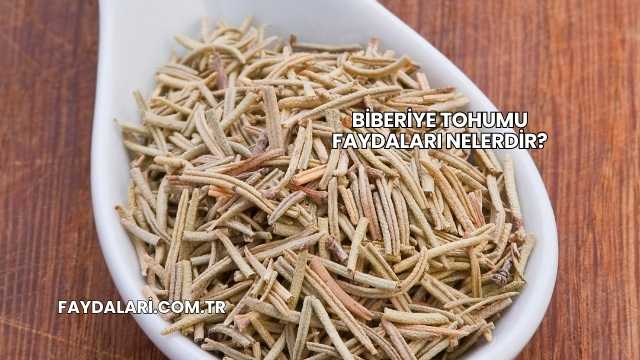 Biberiye Tohumu Faydaları Nelerdir?