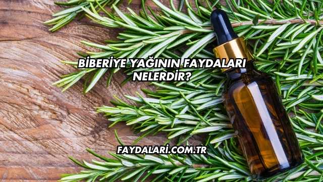 Biberiye Yağının Faydaları Nelerdir?