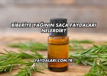 Biberiye Yağının Saça Faydaları Nelerdir?