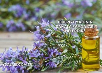 Biberiye Yağının Sakala Faydaları Nelerdir?