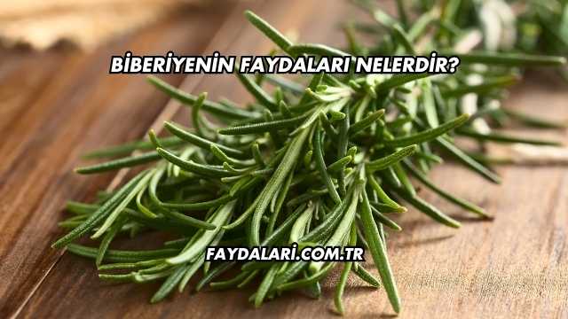 Biberiyenin Faydaları Nelerdir?