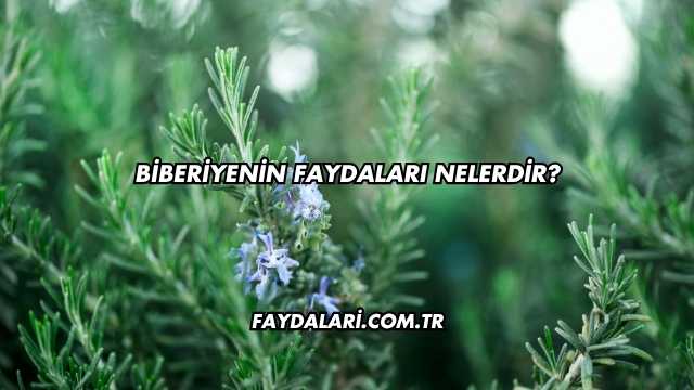 Biberiyenin Faydaları Nelerdir?