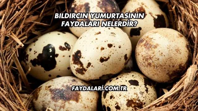 Bıldırcın Yumurtasının Faydaları Nelerdir?
