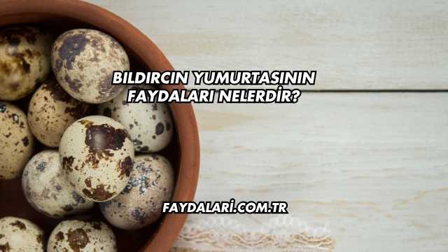 Bıldırcın Yumurtasının Faydaları Nelerdir?