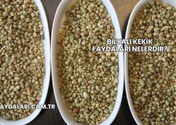 Bilyalı Kekik Faydaları Nelerdir?