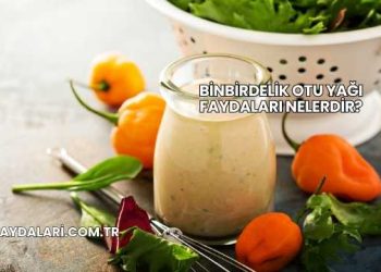 Binbirdelik Otu Yağı Faydaları Nelerdir?