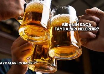 Biranın Saça Faydaları Nelerdir?
