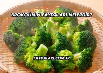 Brokolinin Faydaları Nelerdir?