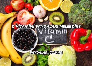 C Vitamini Faydaları Nelerdir?