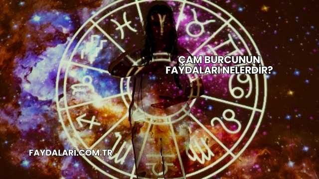 Çam Burcunun Faydaları Nelerdir?