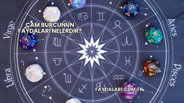 Çam Burcunun Faydaları Nelerdir?