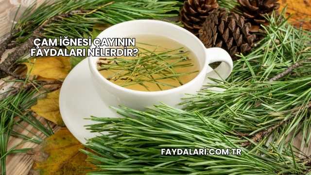 Çam İğnesi Çayının Faydaları Nelerdir?