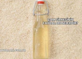 Çam Sirkesinin Faydaları Nelerdir?