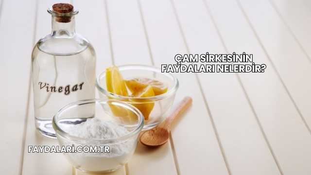 Çam Sirkesinin Faydaları Nelerdir?