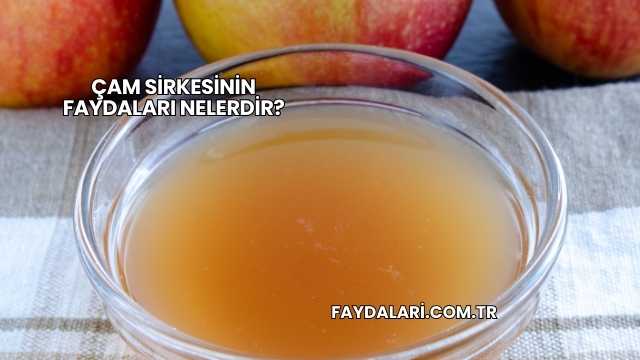 Çam Sirkesinin Faydaları Nelerdir?