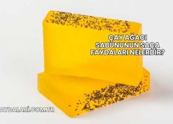 Çay Ağacı Sabununun Saça Faydaları Nelerdir?