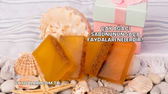 Çay Ağacı Sabununun Saça Faydaları Nelerdir?