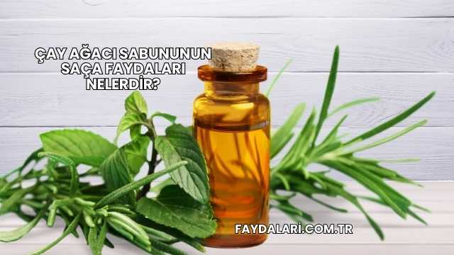 Çay Ağacı Sabununun Saça Faydaları Nelerdir?
