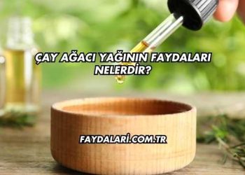 Çay Ağacı Yağının Faydaları Nelerdir?