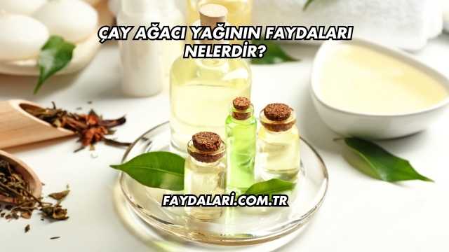 Çay Ağacı Yağının Faydaları Nelerdir?
