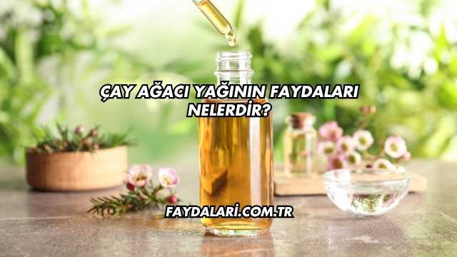 Çay Ağacı Yağının Faydaları Nelerdir?