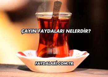 Çayın Faydaları Nelerdir?