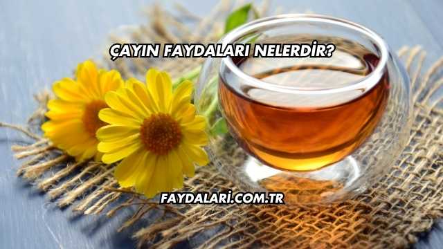Çayın Faydaları Nelerdir?