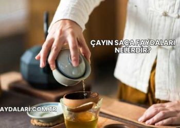 Çayın Saça Faydaları Nelerdir?