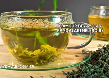 Çaykur Beyaz Çay Faydaları Nelerdir?
