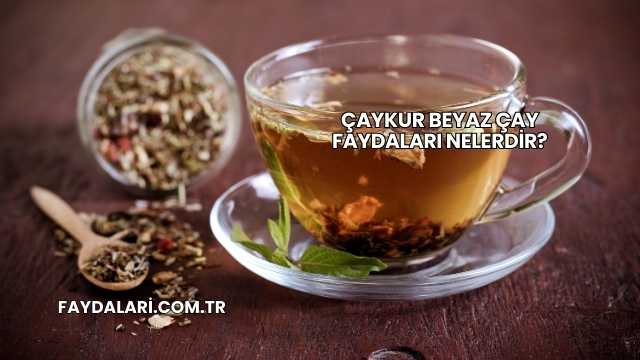 Çaykur Beyaz Çay Faydaları Nelerdir?