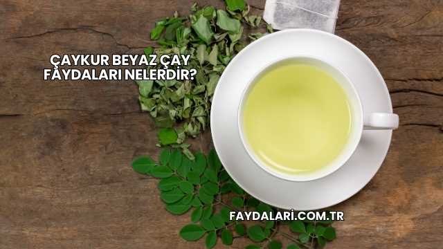 Çaykur Beyaz Çay Faydaları Nelerdir?